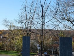 Urnengarten 2020
