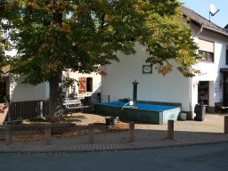 Anstrich Dorfbrunnen 2020
