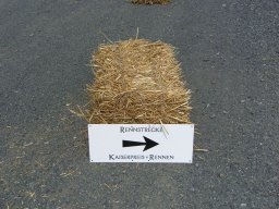 Kaiserpreisrennen 2007