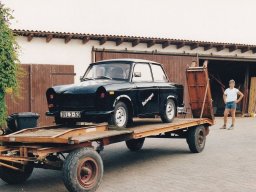 Trabischaukel 1991