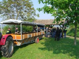 Weinprobe in Mettenheim