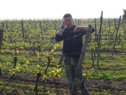 Weinprobe in Mettenheim