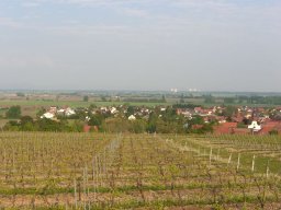 Weinprobe in Mettenheim