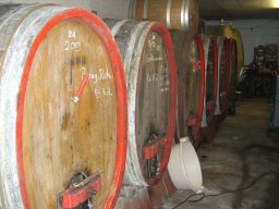 Weinprobe in Mettenheim